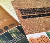 Thomasson Lumber Company Brochure